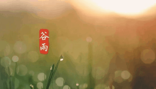 谷雨出生的虎宝宝好不好 谷雨出生的女孩起名推荐