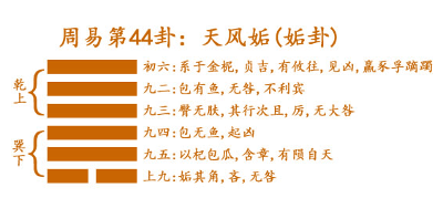 天风姤卦爻辞解析 （姤卦）乾上巽下