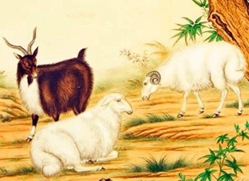 属羊男和属龙女相配吗 属羊男和属龙女的婚姻怎么样
