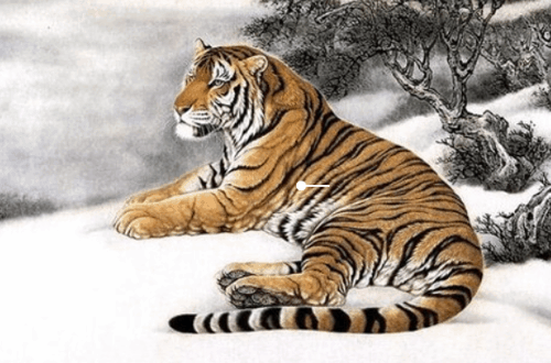 74年属虎48岁以后的一生命运 74年属虎人寿命多长