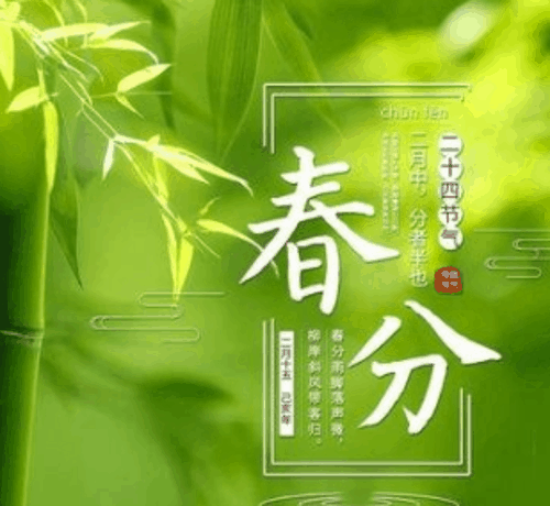 春分鸡蛋为什么能立起来 春分立蛋有什么寓意