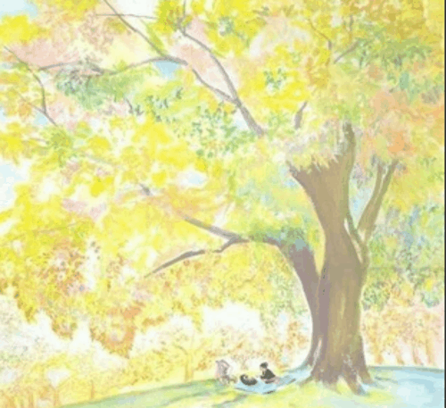 柠檬树是吉树还是凶树 柠檬树寓意如何