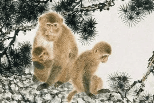 生肖猴几月份出生最苦 出生贫寒的属猴人