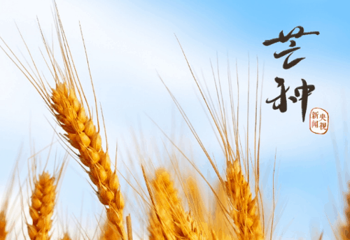 2023芒种的美好寓意，芒种象征着什么