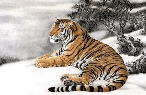 2022年出生属虎的是什么命 2022年属虎人的性格表现