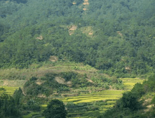 墓地哪个朝向最好风水好 墓地风水学入门图解