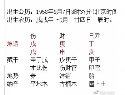 朱玲玲八字命理分析，命运这么好原来是这些原因