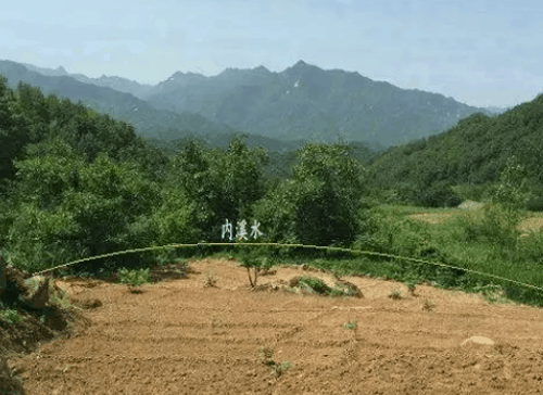 坟地最怕什么破风水，坟前有印必出官