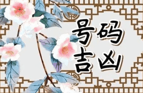 车号最旺的5个数字？测一测车牌号吉不吉
