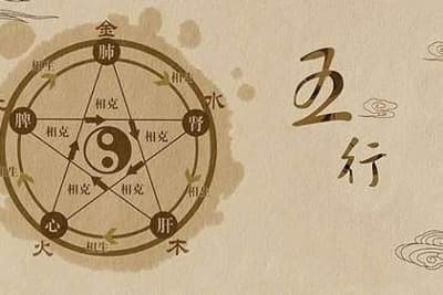 2024年是什么年？2024年属什么生肖